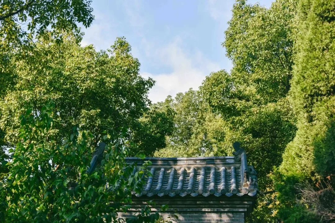 A Corner of a Daoist Temple
